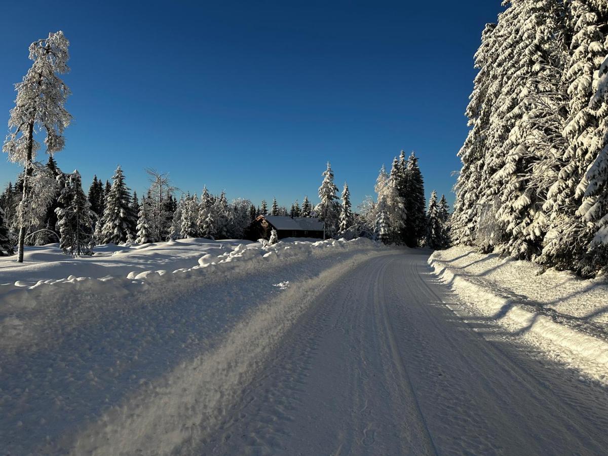 Sore Osen Orbekken Torberget Extérieur photo